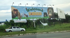 Welcome to Borneo