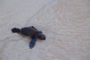 Ez már nem mobillal készült :)