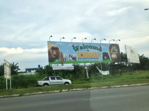 Welcome to Borneo