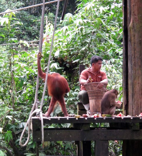 A mókamester... nem semmi beállás :)