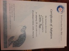 Papírom is van róla :)