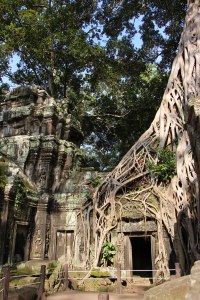 A természet az úr?