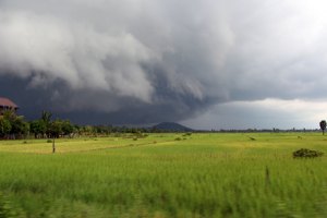 Utolsó kép, mielőtt biztonságba helyeztem a fényképezőt...