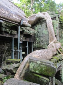 Ez egy fa gyökere... képtelenség befotózni :)