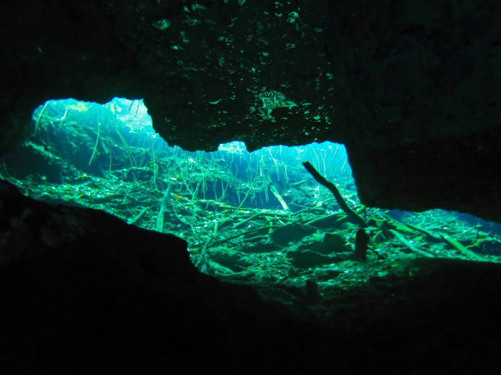 Egy újabb kijárat, sok fa törmelékkel