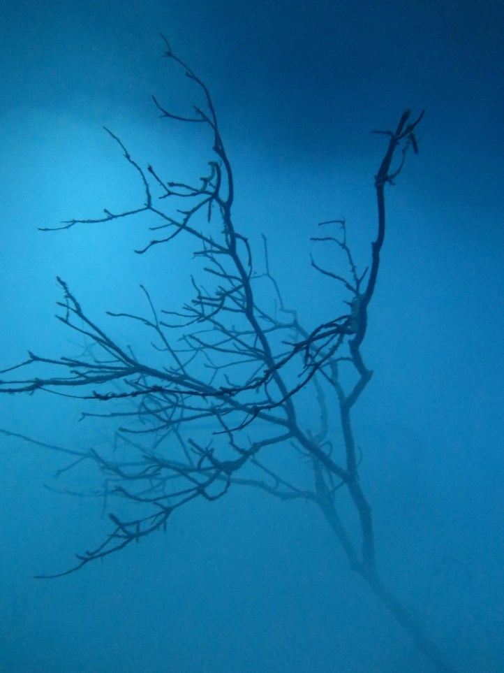 Kicsit közelebbről...