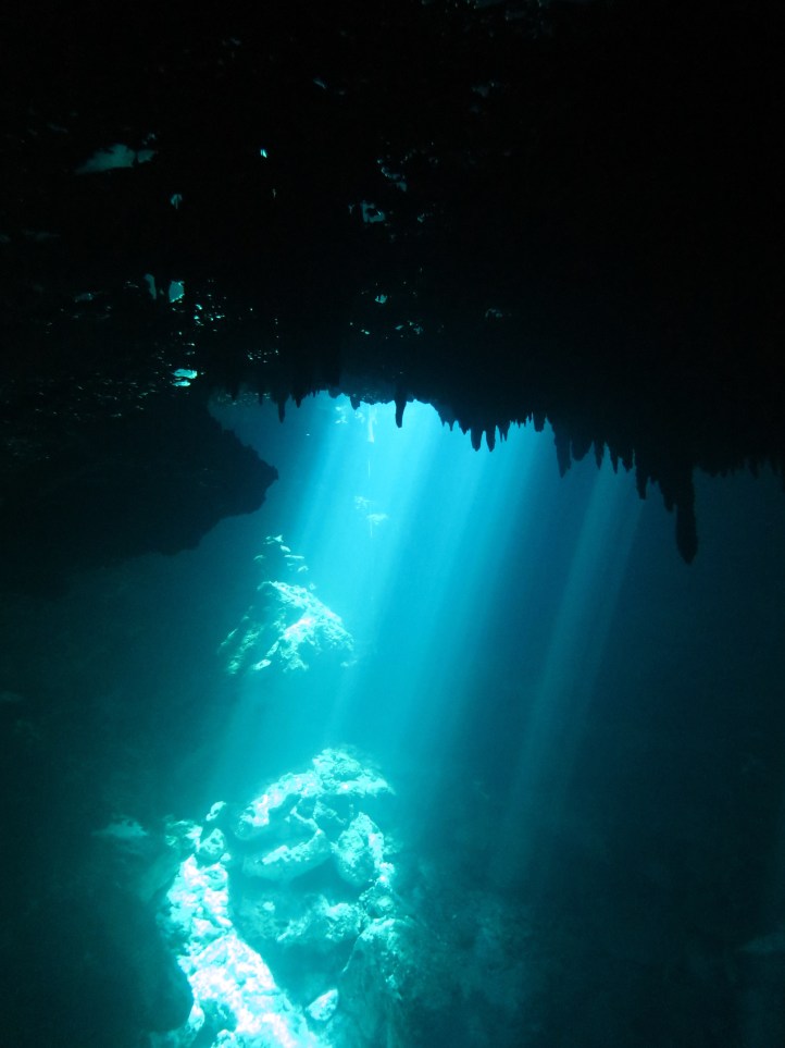 A csipkék alól kinézve ilyen látvány tárul elénk